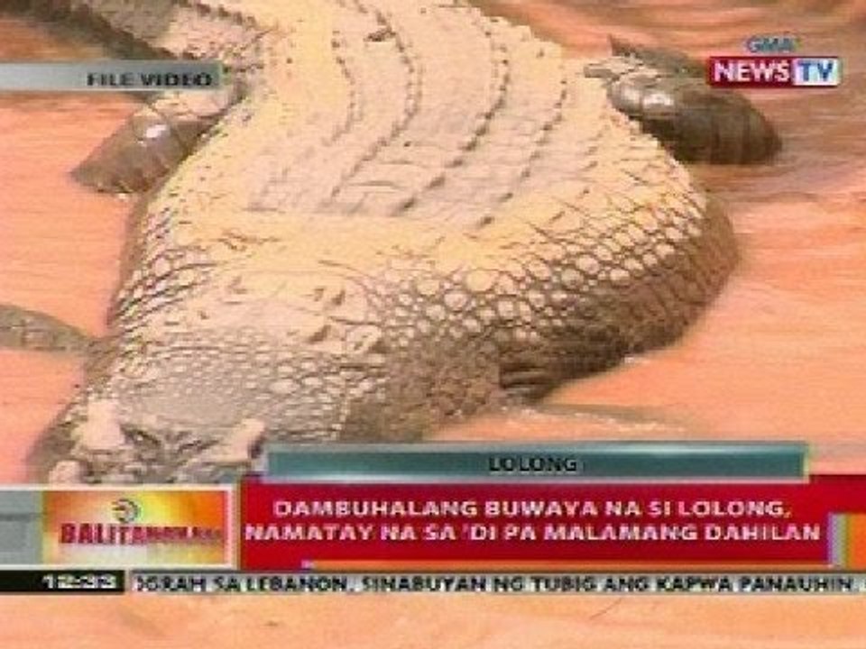BT: Dambuhalang buwaya na si Lolong, namatay na sa di pa malamang dahilan