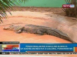 NTG: Buwayang si Lolong, pumanaw na