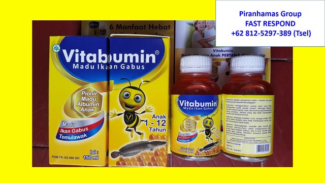 +62 811-214-8988 (Tsel), Aneka Jajanan Khas Semarang Delish di Bandung, Pusat Jajanan Khas Semarang Delish di Bandung