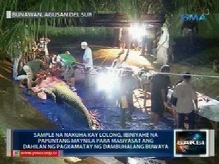 Saksi: Sample ng labi ni Lolong, ibiniyahe na sa Maynila matapos ang kanyang necropsy