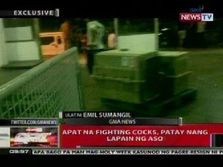 QRT: 4 na fighting cocks, patay nang lapain ng aso
