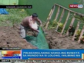 NTG: Buwayang si Lolong, inilibing na