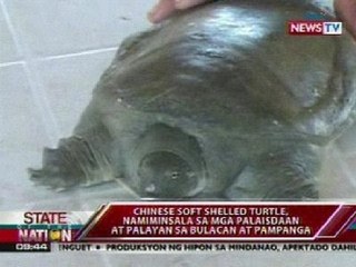 SONA: DENR, nagbabala laban sa pagpapasok sa bansa ng mga exotic species