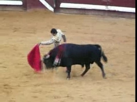 Sébastien Castella - Toros Y Salsa - toro 3 - 080907