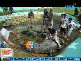 UB: DENR-PAWB: May multiple organ infection si Lolong bago pa man pumanaw