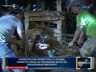 Saksi: Lolong, namatay sa pneumonia batay sa isinagawang necropsy