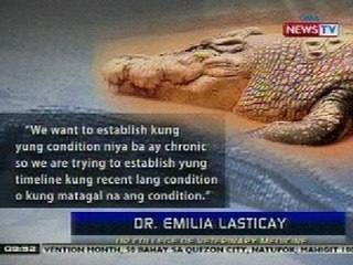 NTG: Lolong, may multiple organ infection base sa resulta ng necropsy nito