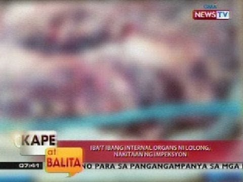 KB: Iba't ibang internal organs ni Lolong, nakitaan ng impeksyon