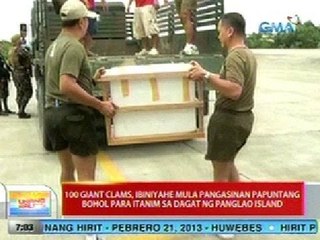 UB: 100 giant clams, ibiniyahe papuntang Bohol para itanim sa Panglao Island