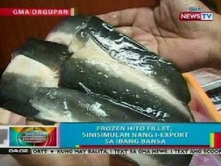 BP: Frozen hito fillet, sinisimula nang i-export sa ibang bansa