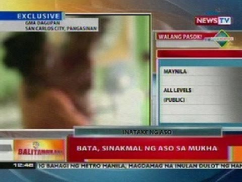 BT: Bata sa Pangasinan, sinakmal ng aso sa mukha