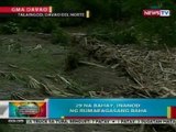 BP: 29 na bahay sa Davao del Norte, inanod ng rumaragasang baha