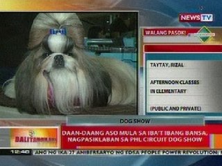 BT: Daan-daang aso mula sa iba't ibang bansa, nagpasiklaban sa PHL Ciruit Dog Show sa Mandaluyong