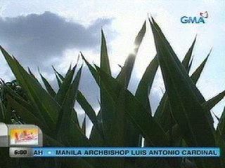 UB: Panahon ng tag-init, posible na raw ideklara sa susunod na linggo