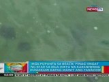 BP:  Mga pupunta sa beach, pinag-iingat ng BFAR sa mga dikya