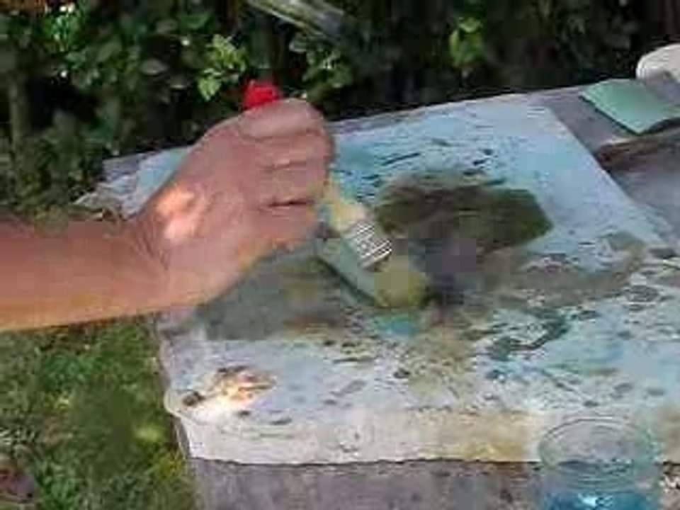 Patine Bronze Vidéo Dailymotion