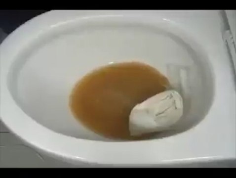 Astuce incroyable pour déboucher les toilettes... Flippant mais pratique