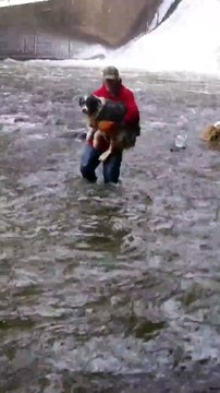 Ce héro saute dans l'eau glacée pour sauver un chien