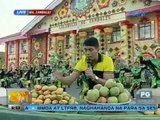 Unang Hirit: 13th Zambales Mango Festival