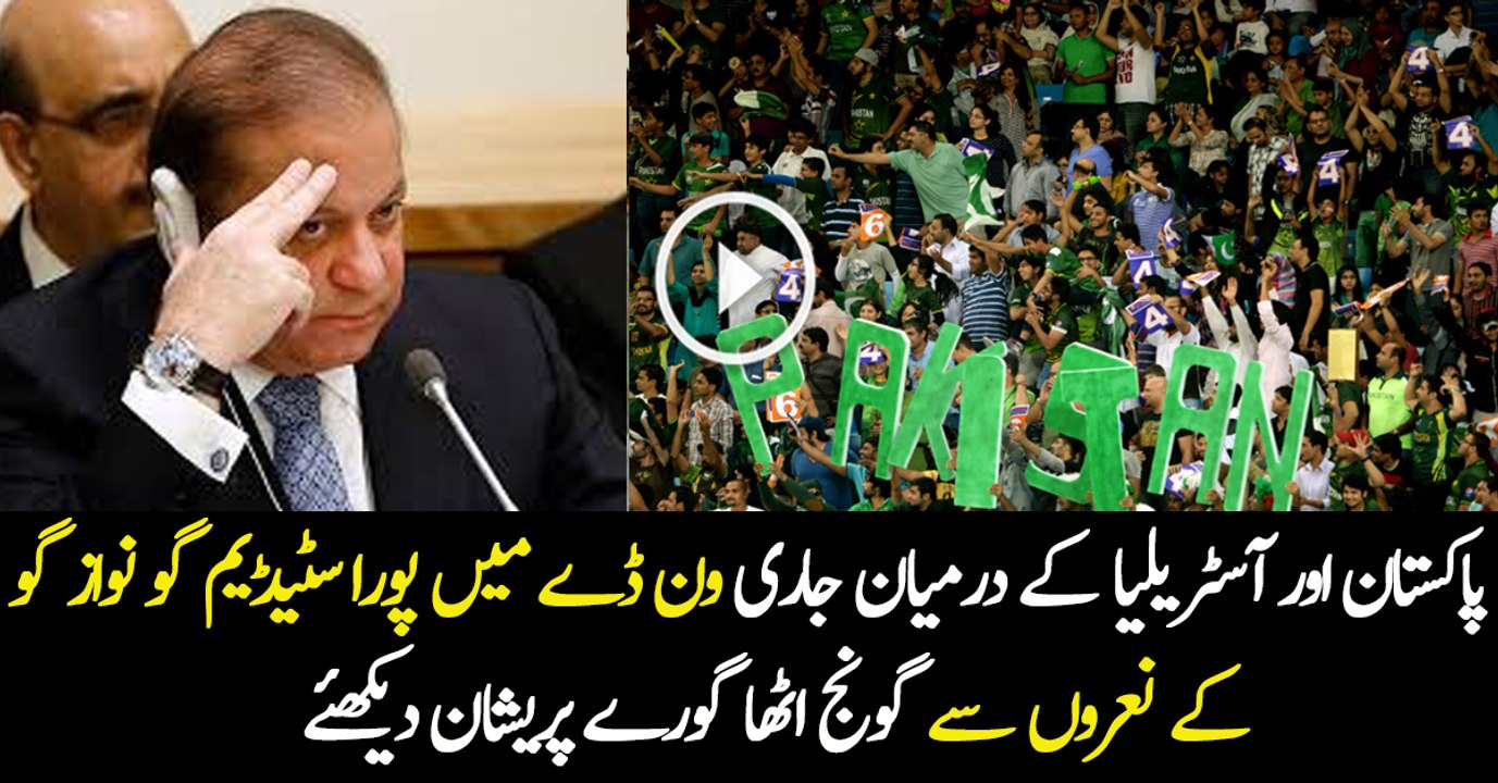 Pakistani People Started Chanting Go Nawaz Go in Australian Stadium