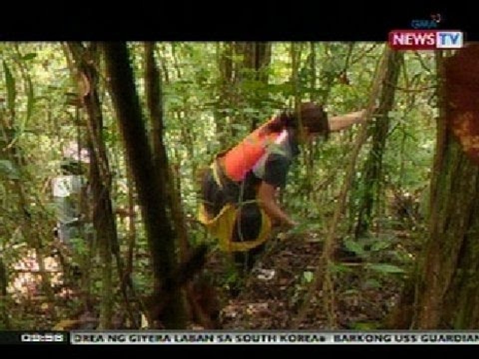 NTG: 'Rattan sa pusod ng Sierra Madre', I-Witness dokyu ni Kara David mamayang gabi sa GMA-7