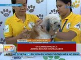 UB: UH Summer Project: Libreng bakuna kontra rabies