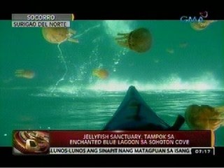 24 Oras: Jellyfish sanctuary, tampok sa Enchanted Blue Lagoon sa Sohoton Cove