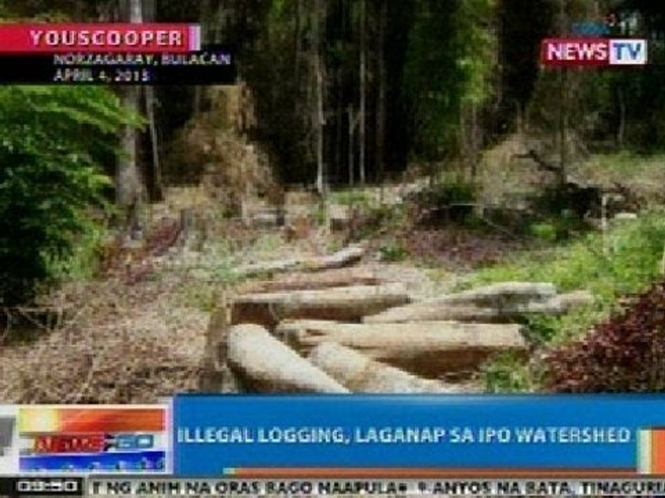 NTG: Illegal logging, laganap sa Ipo Watershed sa Norzagaray, Bulancan