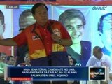 Saksi: Mga senatorial candidate ng UNA, nangampanya sa Tarlac na kilalang balwarte ni PNoy