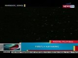 BP: Firefly kayaking, kakaibang summer adventure sa Maribojoc, Bohol