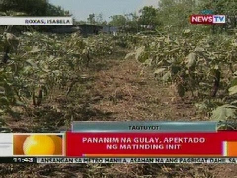 BT: Pananim na gulay, apektado ng matinding init