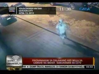 24 Oras: Pagnanakaw sa 2 aso mula sa garahe ng bahay, nakuhanan sa CCTV