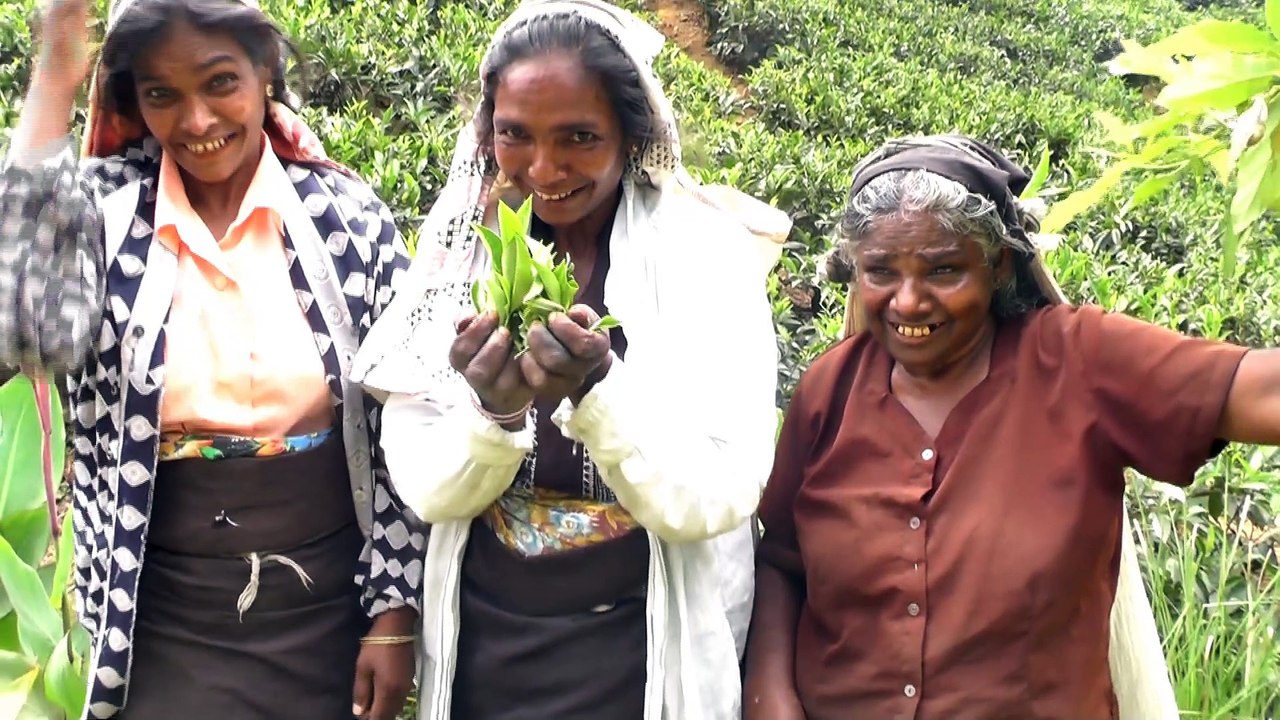 Sri Laka travelling Part 2