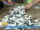 Unang Hirit: Tagtuyo Ngayong Tag-init: Tuyo Festival