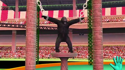 Crazy Gorilla Finger Family Collection | Colors Finger Family Rhymes For Children | Family Finger