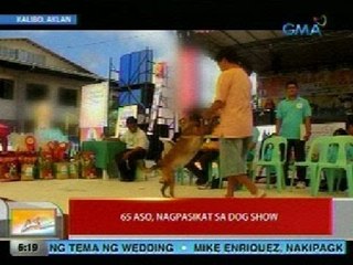UB: 65 aso sa Kalibo, Aklan, nagpasikat sa dog show