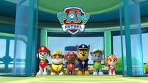Щенячий патруль (Paw Patrol) - Щенячий патруль участок игрушки