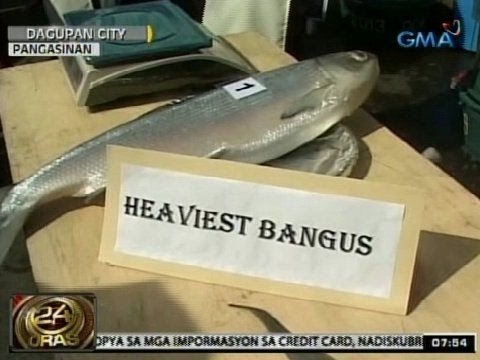 24Oras: Pinakamabigat na bangus sa 'Bangus Festival' sa Dagupan, halos 6 na kilo ang timbang