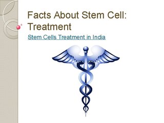 Facts about Stem Cell Treatment