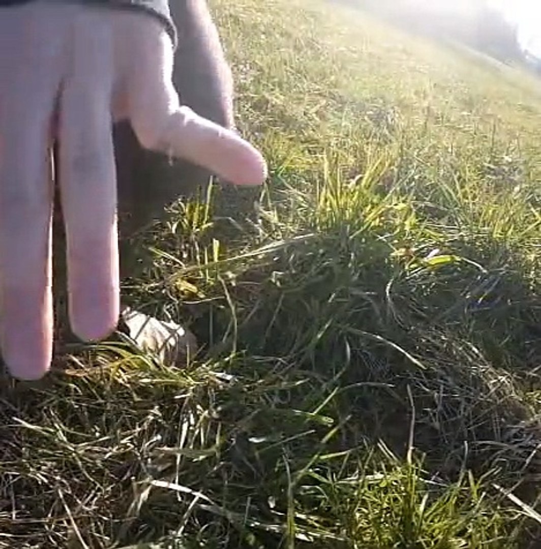 Longboarding And Skateboarding Epic Fails Broken Bones And Blood Warning Video Dailymotion