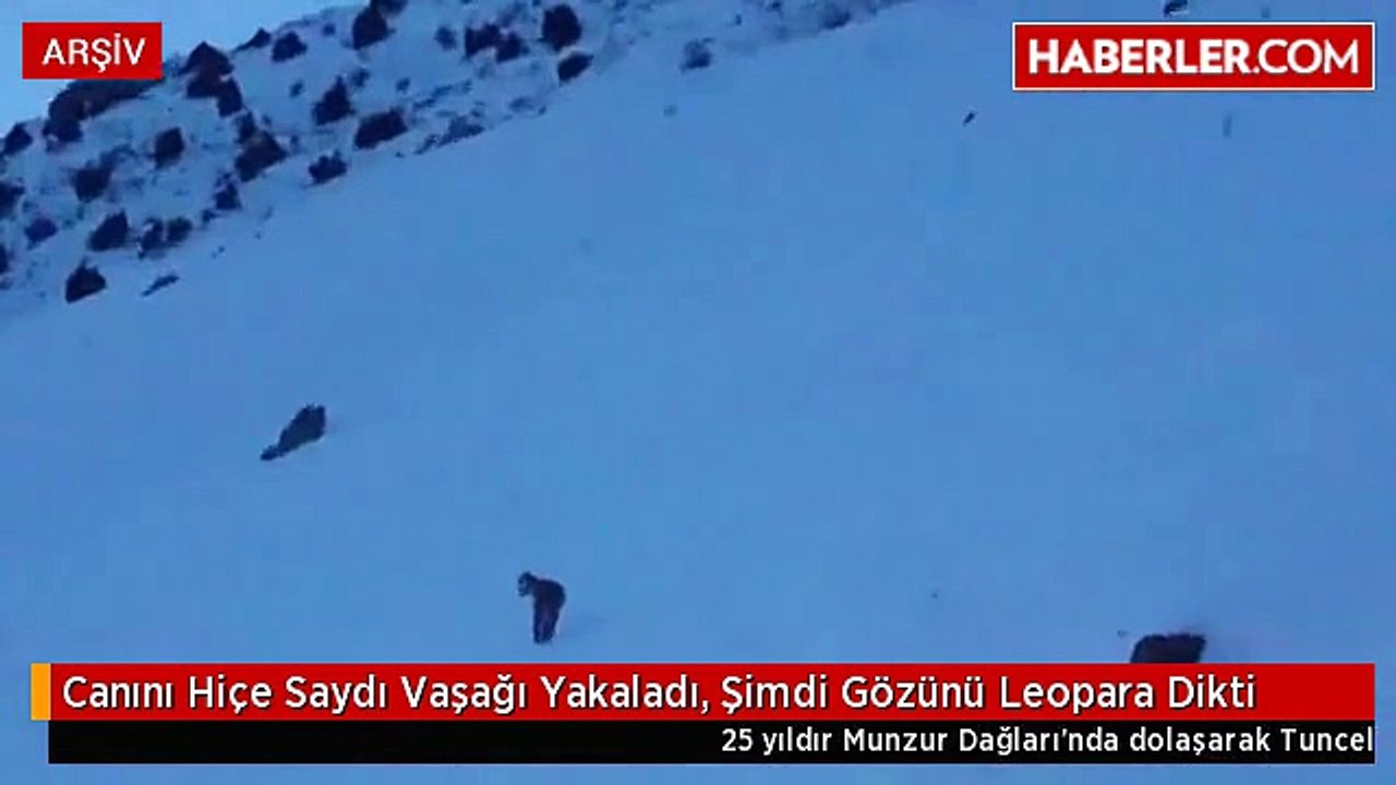 gazeteci-kemal-ozer-zor-bulunan-anadolu-vasagini-yakladı