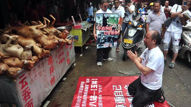 ☀Chuyện Nhân Quả Báo Ứng☀ CHÓ BÁO OÁN, BÁO ỨNG KHÔNG NGỜ!