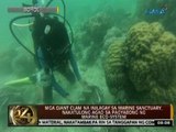 Mga giant clam na inilagay sa marine sanctuary, nakatulong agad sa pagyabong ng marine eco-system