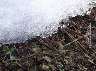 Sneg čuva useve – mraz šteti voćkama, 15. januar 2017. (RTV Bor)