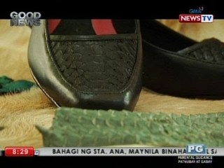 Good News: Unique shoes from janitor   fish scales