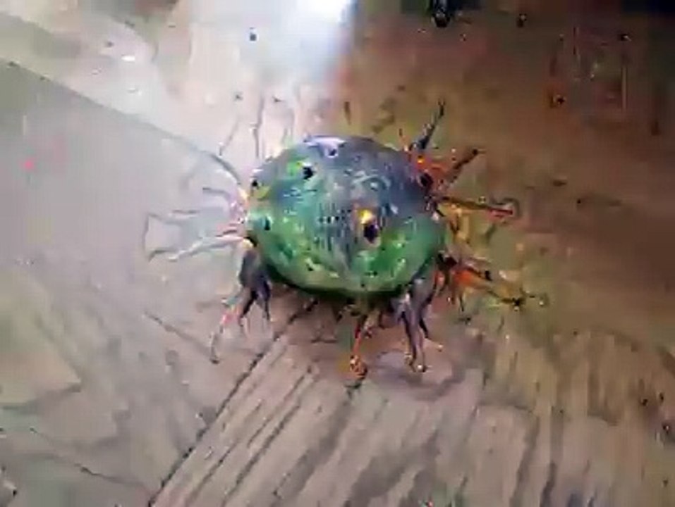 Acidmath - Uh oh..transformations.
