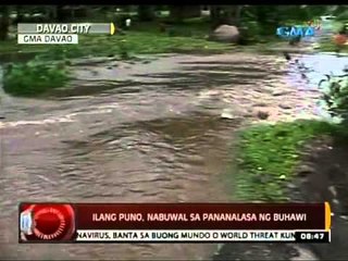 24 Oras: Ilang puno, nabuwal sa pananalasa ng buhawi sa Davao City