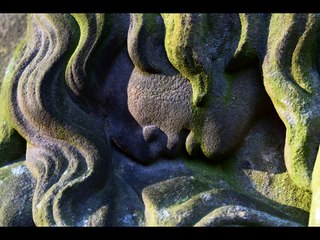 STONE PORTRAITS - Vol 2 - JANUARY 2017