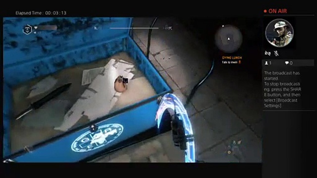 Dying light (5)