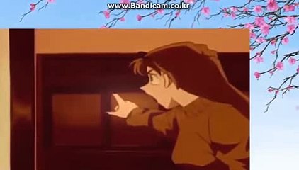 토토 솔루션 제작 전문업체 COD